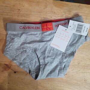 Calvin Klein Sissy Hipster Panty Elastic Waistband Gray Medium 7/8 NEW PANTIES